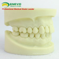 VENDER 12564 Dental Dental Practice Practice